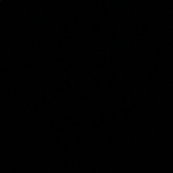 Meet your Posher, Dylan - Picture 1 of 1